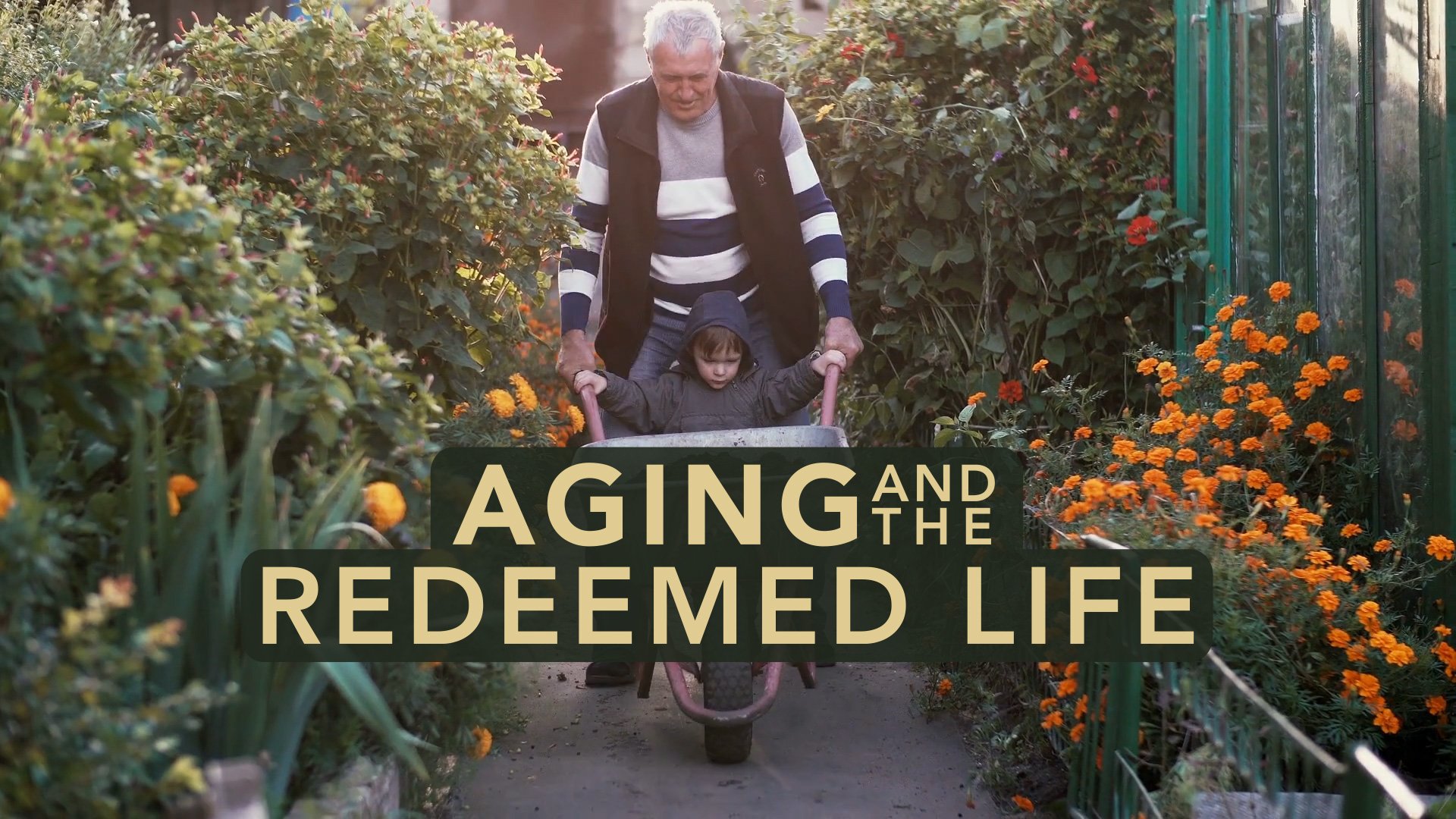 Aging and the Redeemed Life