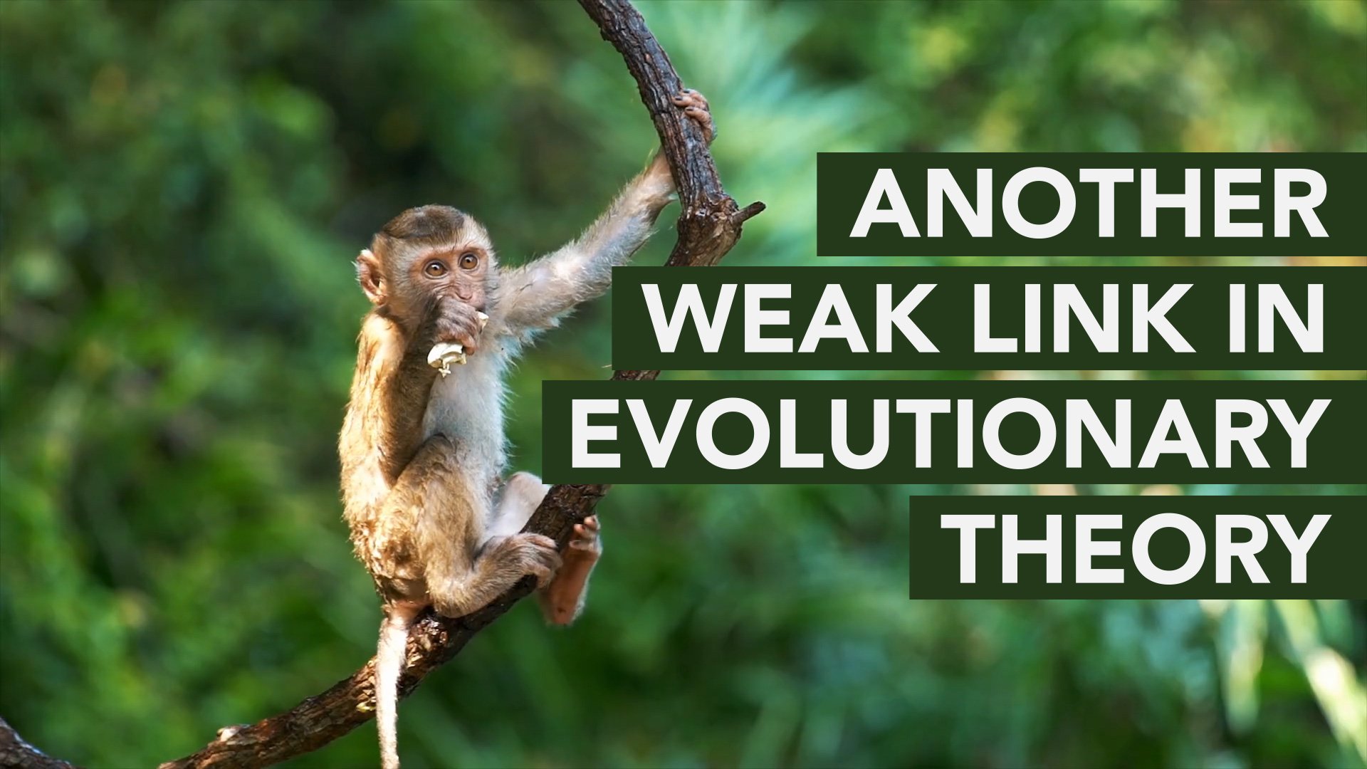 Another Weak Link in Evolutionary Theory