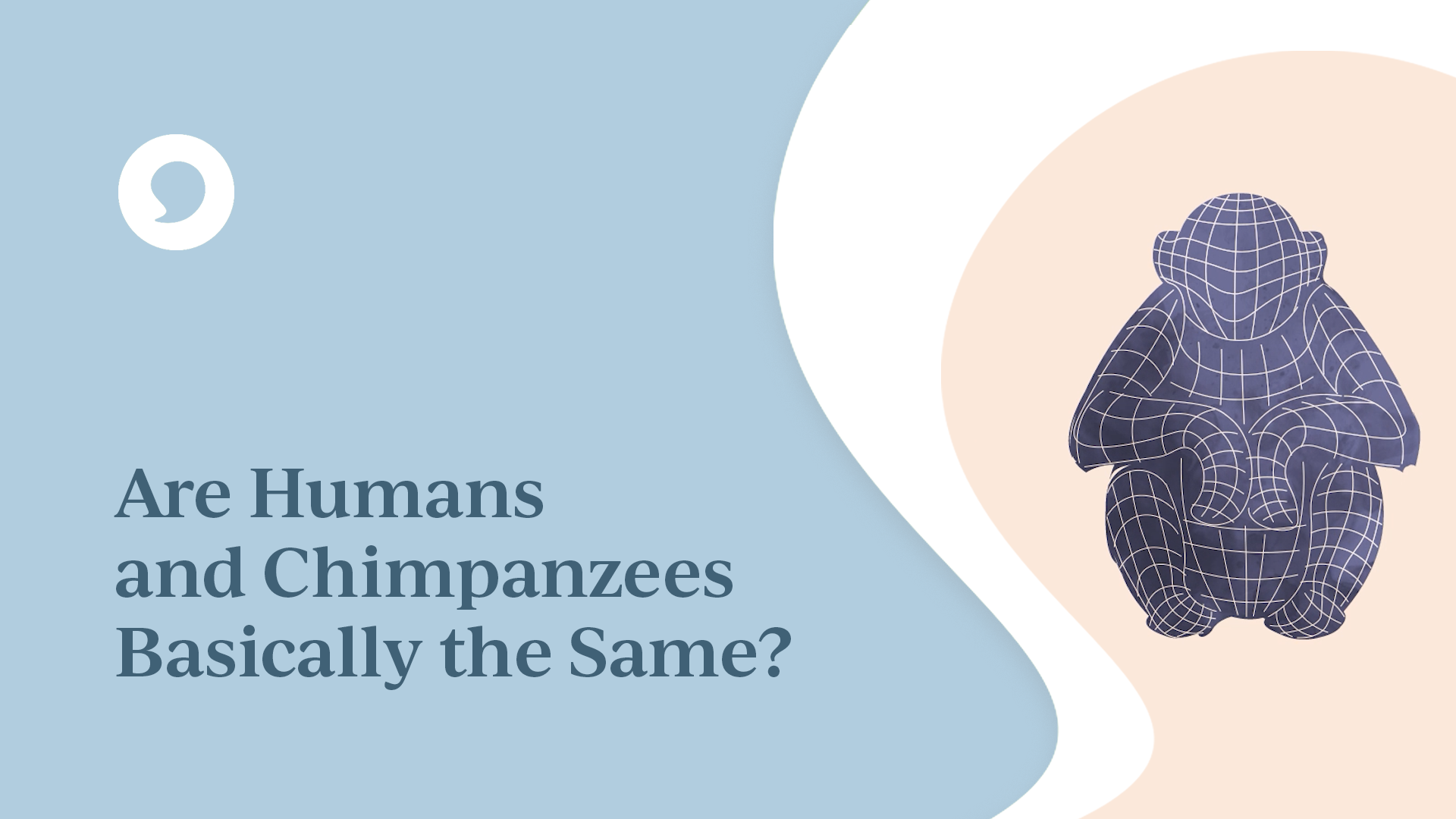 Are Humans and Chimpanzees Basically the Same?