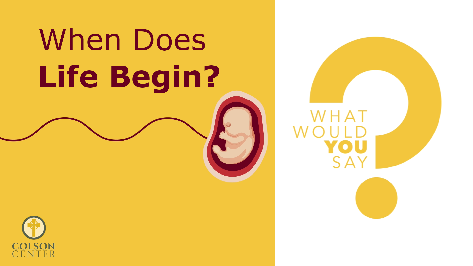 Does Life Begin at Conception?