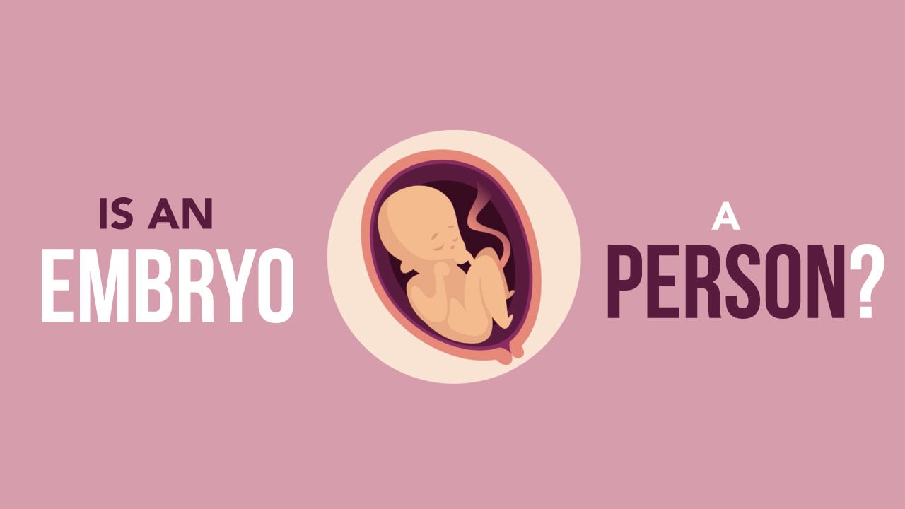 Is an Embryo a Person?